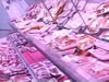 Kosher Meat Preparation